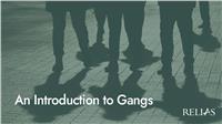 An Introduction to Gangs