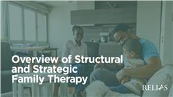 Overview of Structural and Strategic Family Therapy