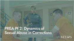 PREA: Dynamics of Sexual Abuse in Corrections